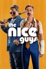 The Nice Guys (2016)