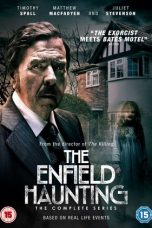 The Enfield Haunting (2015)