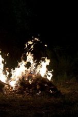 The Walking Dead Season 6 Episode 4