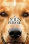 A Dog's Purpose (2017)