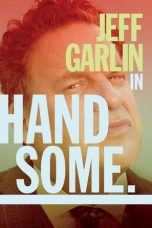 Handsome: A Netflix Mystery Movie (2017)