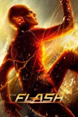 The Flash Season 1