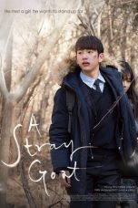 A Stray Goat (2017)