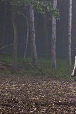 Marco Polo Season 2 Episode 7