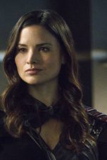 Arrow Season 3 Episode 23