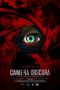 Camera Obscura (2017)