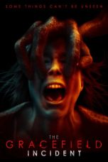 The Gracefield Incident (2017)