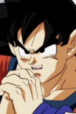 Dragon Ball Super Season 1 Episode 81