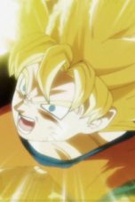 Dragon Ball Super Season 1 Episode 98