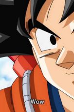 Dragon Ball Super Season 1 Episode 45