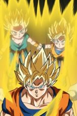 Dragon Ball Super Season 1 Episode 9