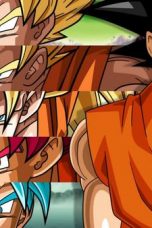 Dragon Ball Super Season 1 Episode 15