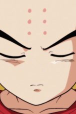 Dragon Ball Super Season 1 Episode 84