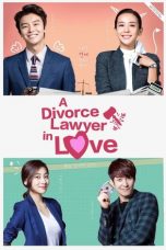 Divorce Lawyer in Love