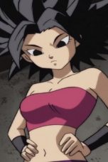 Dragon Ball Super Season 1 Episode 92