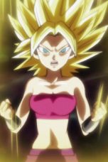 Dragon Ball Super Season 1 Episode 100