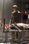 Dexter Season 1 Episode 12
