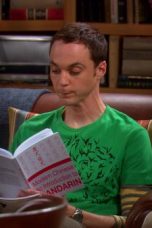The Big Bang Theory Season 1 Episode 17