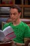 The Big Bang Theory Season 1 Episode 17