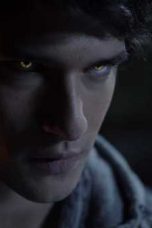 Teen Wolf Season 1 Episode 8