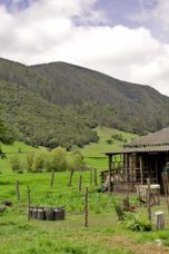 Narcos Season 2 Episode 9