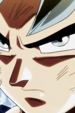 Dragon Ball Super Season 1 Episode 110