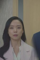 The Good Wife Episode 3