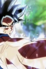 Dragon Ball Super Season 1 Episode 116