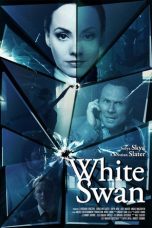 Assassins Run (2013)