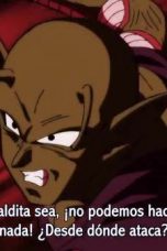 Dragon Ball Super Season 1 Episode 119