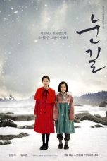 Snowy Road (2017)