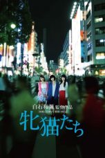 Dawn of the Felines (2017)