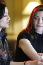 The Good Wife Season 1 Episode 1
