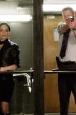 The Good Wife Season 1 Episode 11