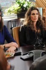 The Good Wife Season 1 Episode 21