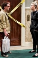The Big Bang Theory Season 12 Episode 9