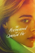 The Miseducation of Cameron Post
