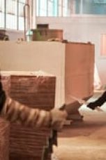 The Flash Season 5 Episode 11