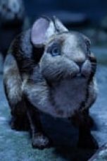 Watership Down Season 1 Episode 3