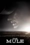 The Mule