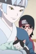 Boruto: Naruto Next Generations Season 1 Episode 104