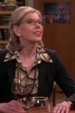 The Big Bang Theory Season 12 Episode 22