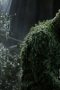 Swamp Thing Season 1 Episode 10