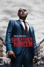 Godfather of Harlem Season 1