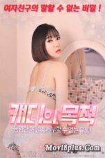 The Purpose Of The Caddy