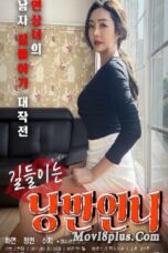 Taming Romantic Sister