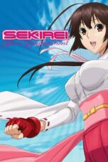Sekirei: Pure Engagement