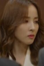 Divorce Attorney Shin Episode 1