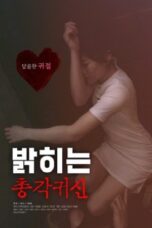 Bachelor Ghost Reveal