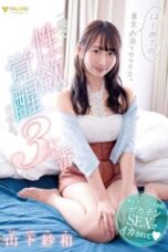 Staying Overnight in Tokyo (2024)